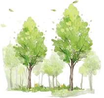 聚焦丨首个“孔子故乡·中国山东”文化交流中心落户德国巴伐利亚州 音像制品制作